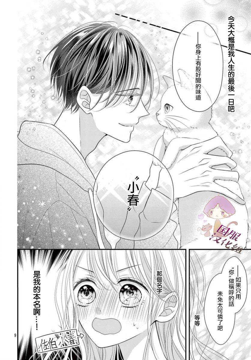 快来宠我嘛！我可是猫猫第02话