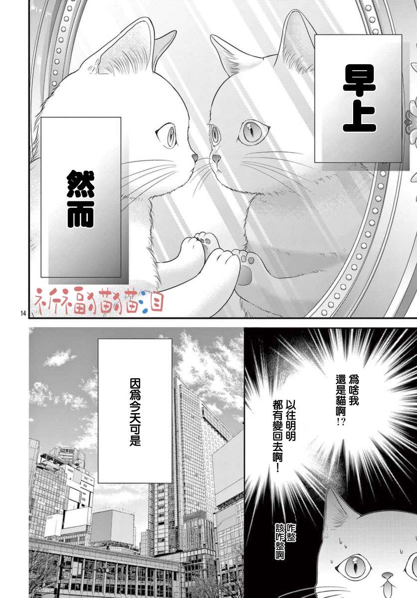 快来宠我嘛！我可是猫猫第04话