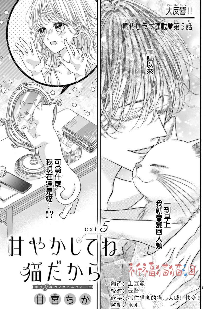 快来宠我嘛！我可是猫猫第05话