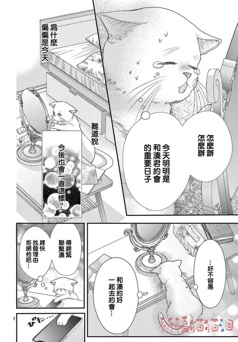 快来宠我嘛！我可是猫猫第05话