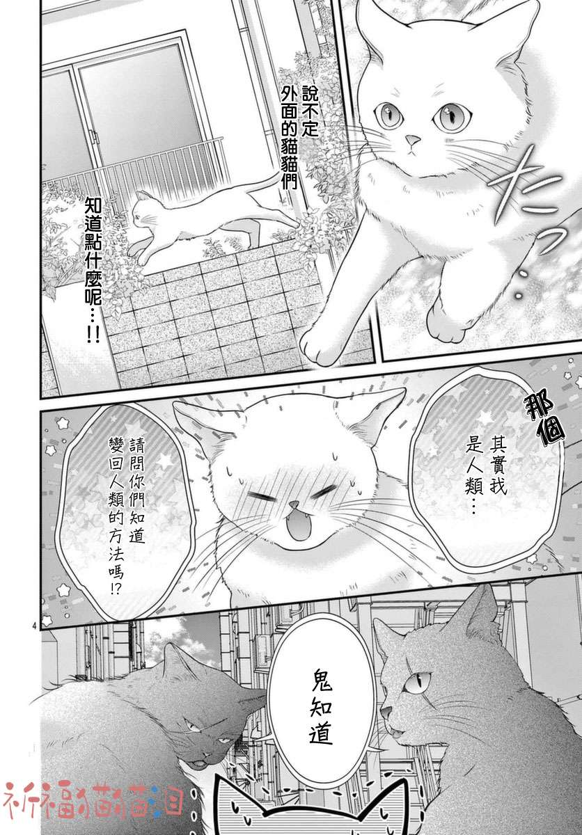 快来宠我嘛！我可是猫猫第05话