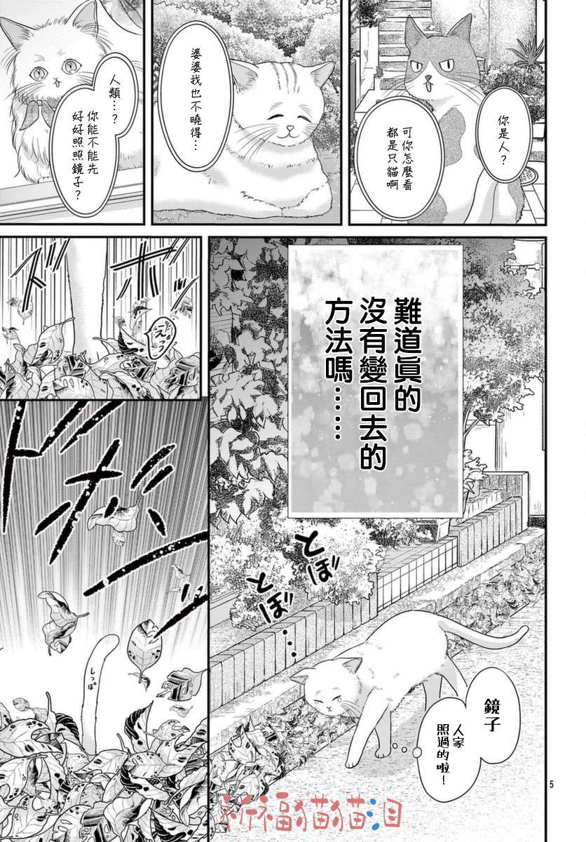 快来宠我嘛！我可是猫猫第05话