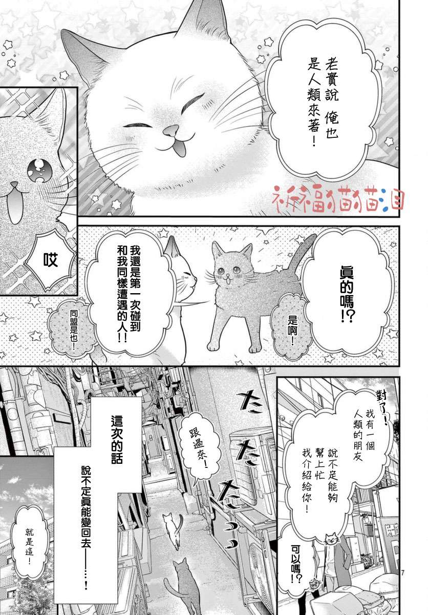 快来宠我嘛！我可是猫猫第05话