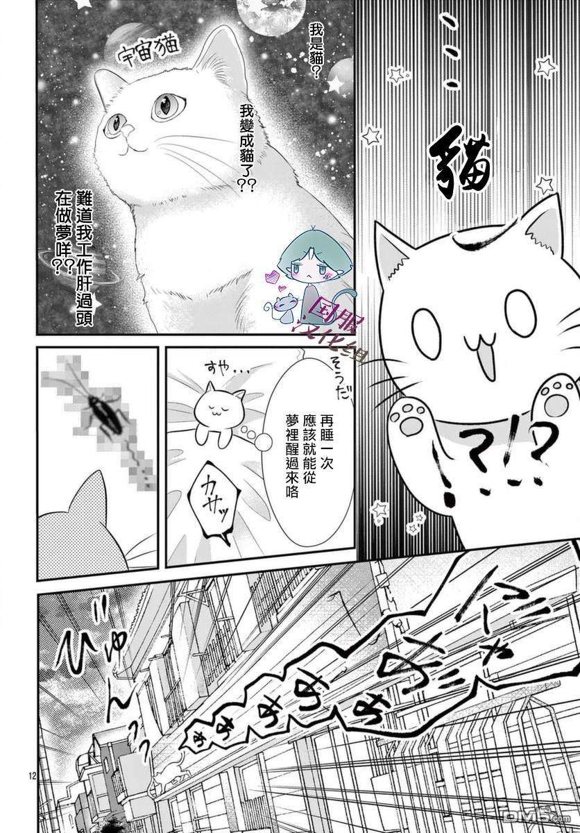 快来宠我嘛！我可是猫猫第1话