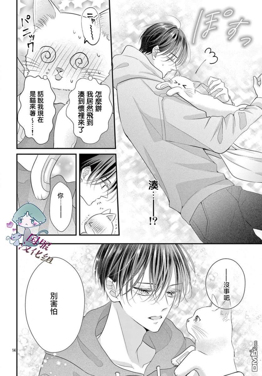快来宠我嘛！我可是猫猫第1话