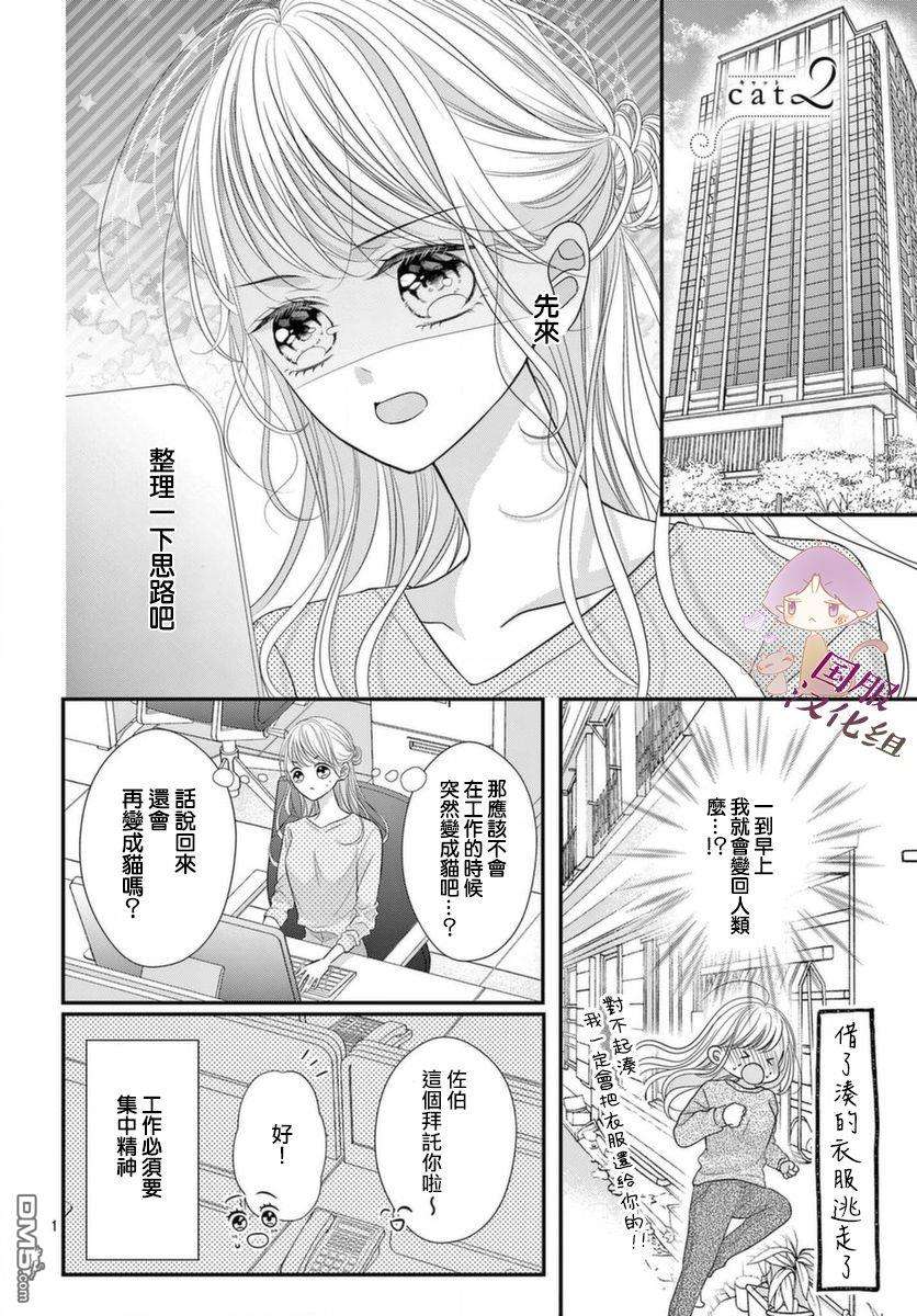 快来宠我嘛！我可是猫猫第2话