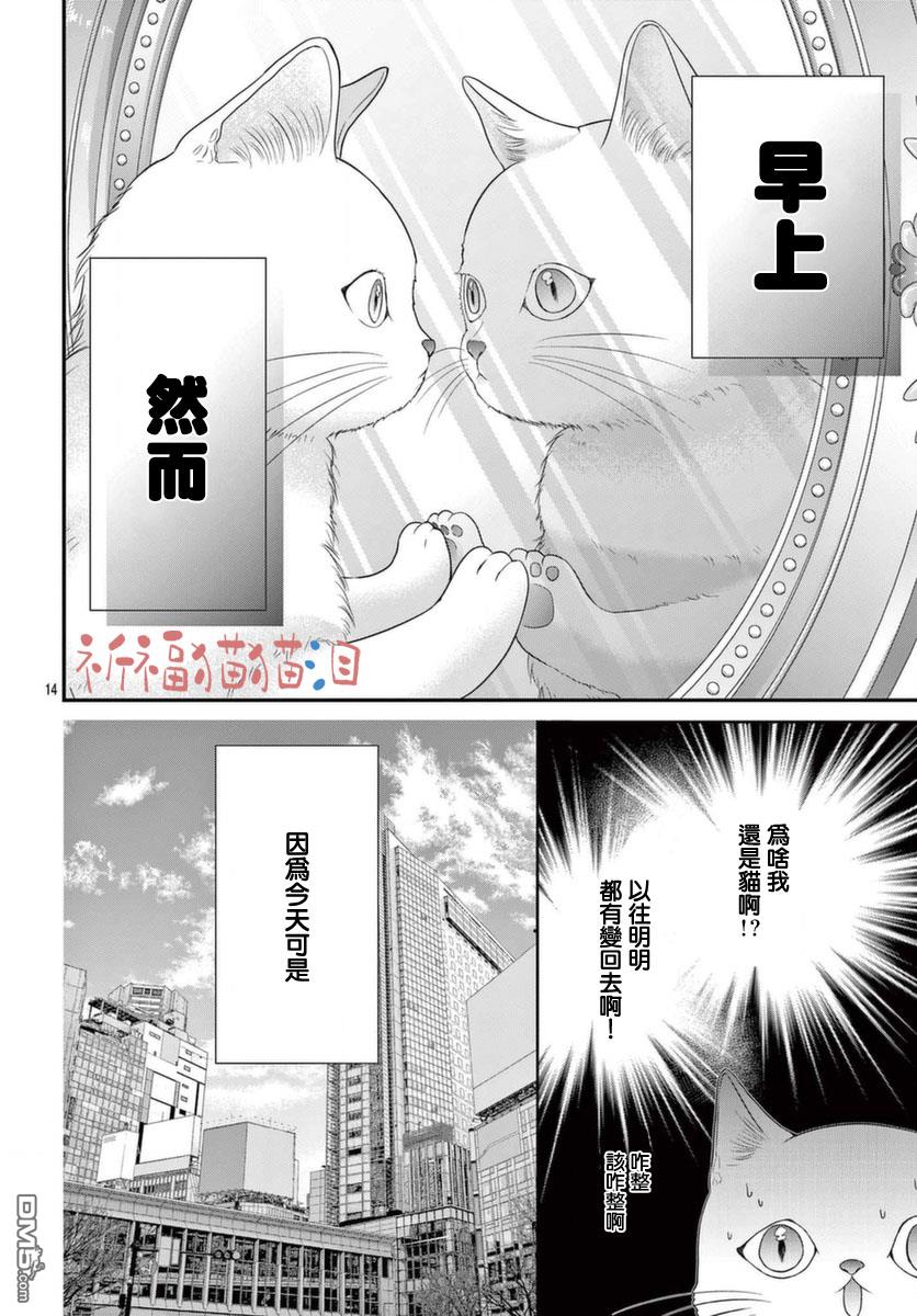 快来宠我嘛！我可是猫猫第4话