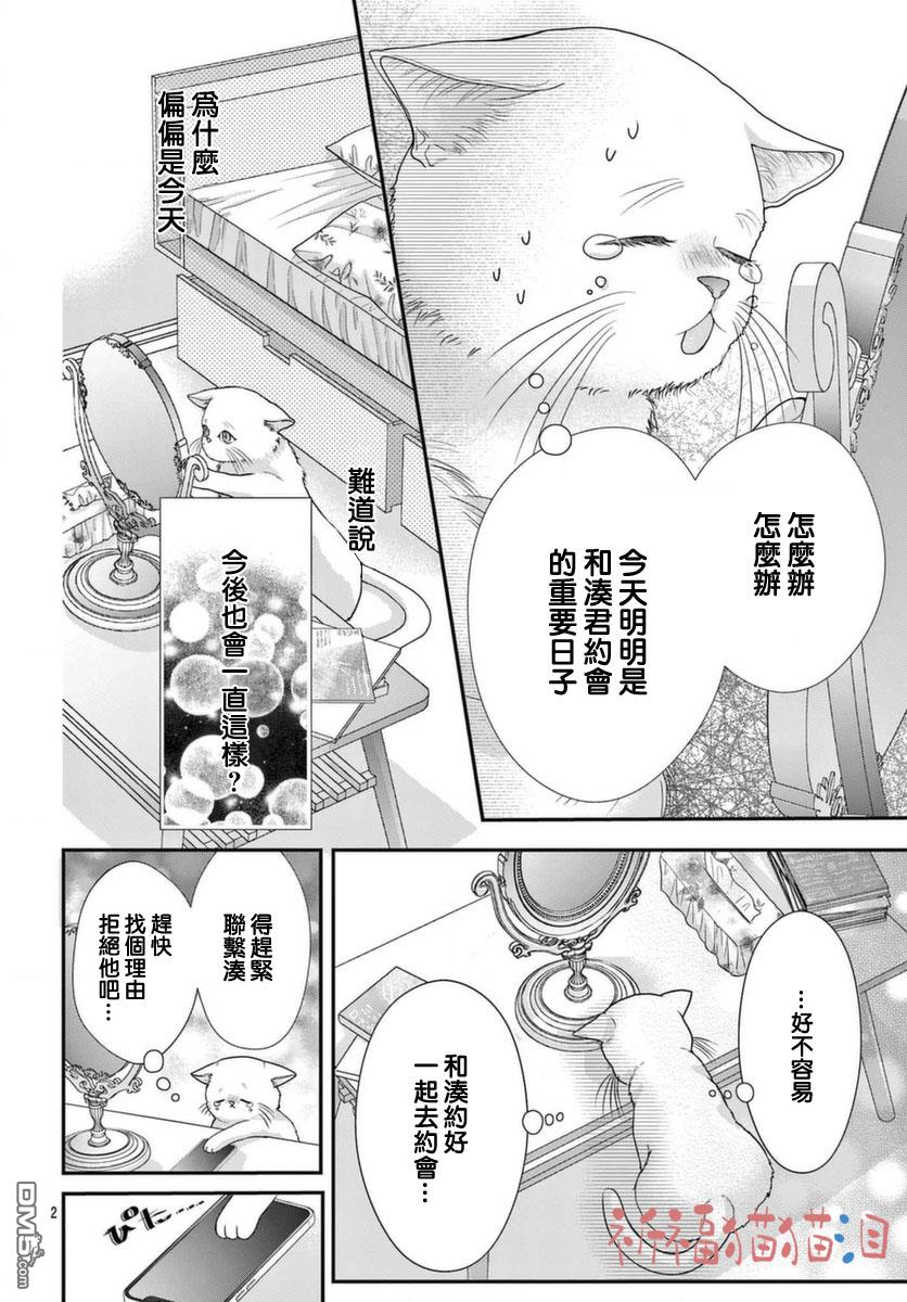 快来宠我嘛！我可是猫猫第5话
