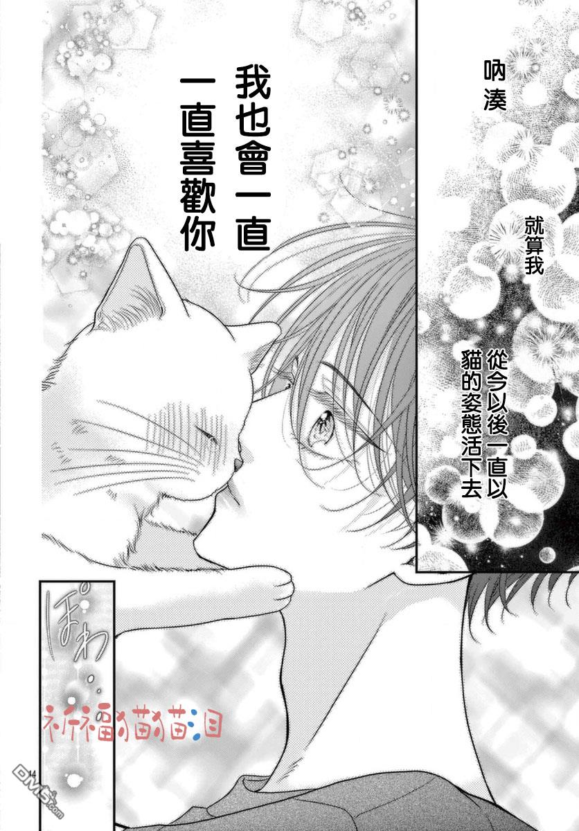 快来宠我嘛！我可是猫猫第5话