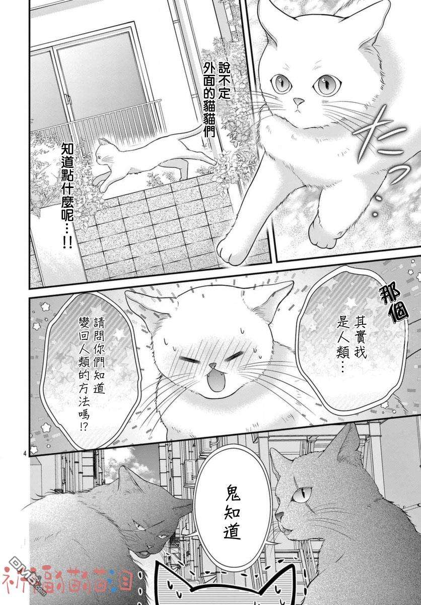 快来宠我嘛！我可是猫猫第5话