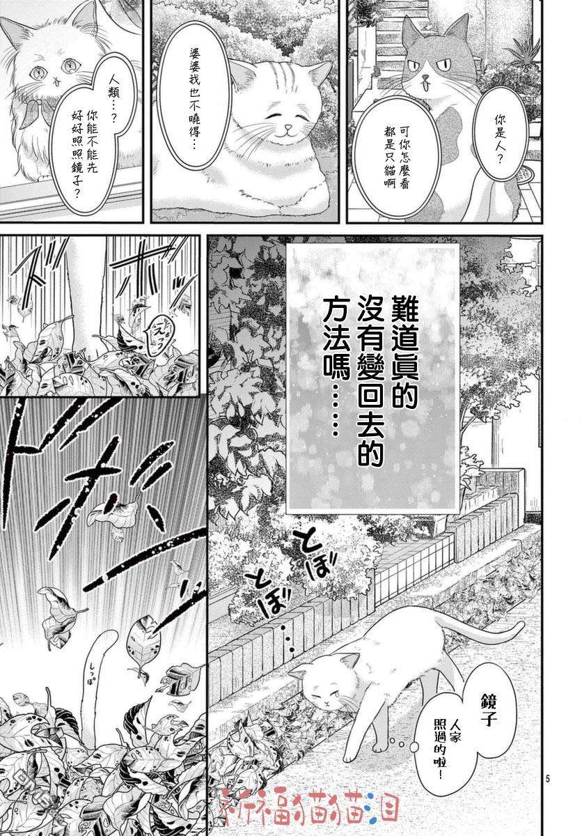 快来宠我嘛！我可是猫猫第5话