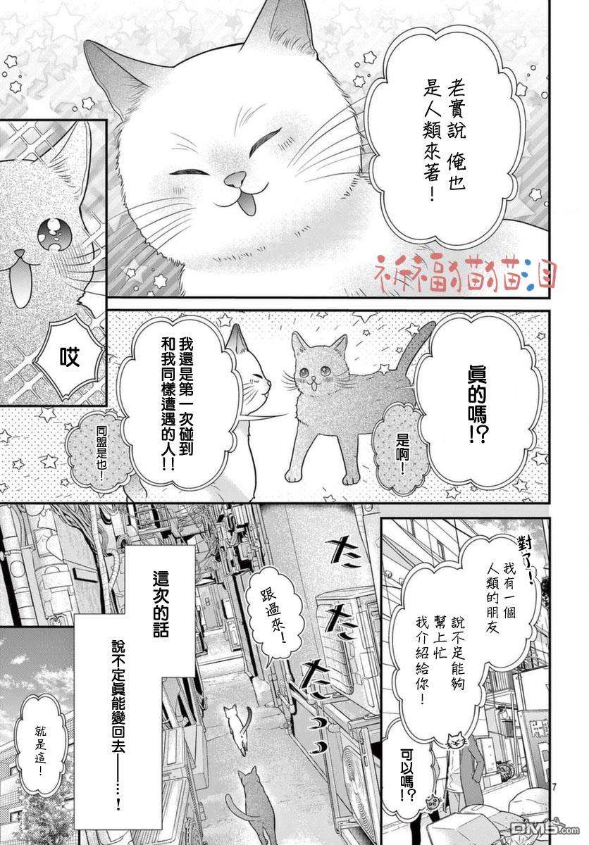 快来宠我嘛！我可是猫猫第5话