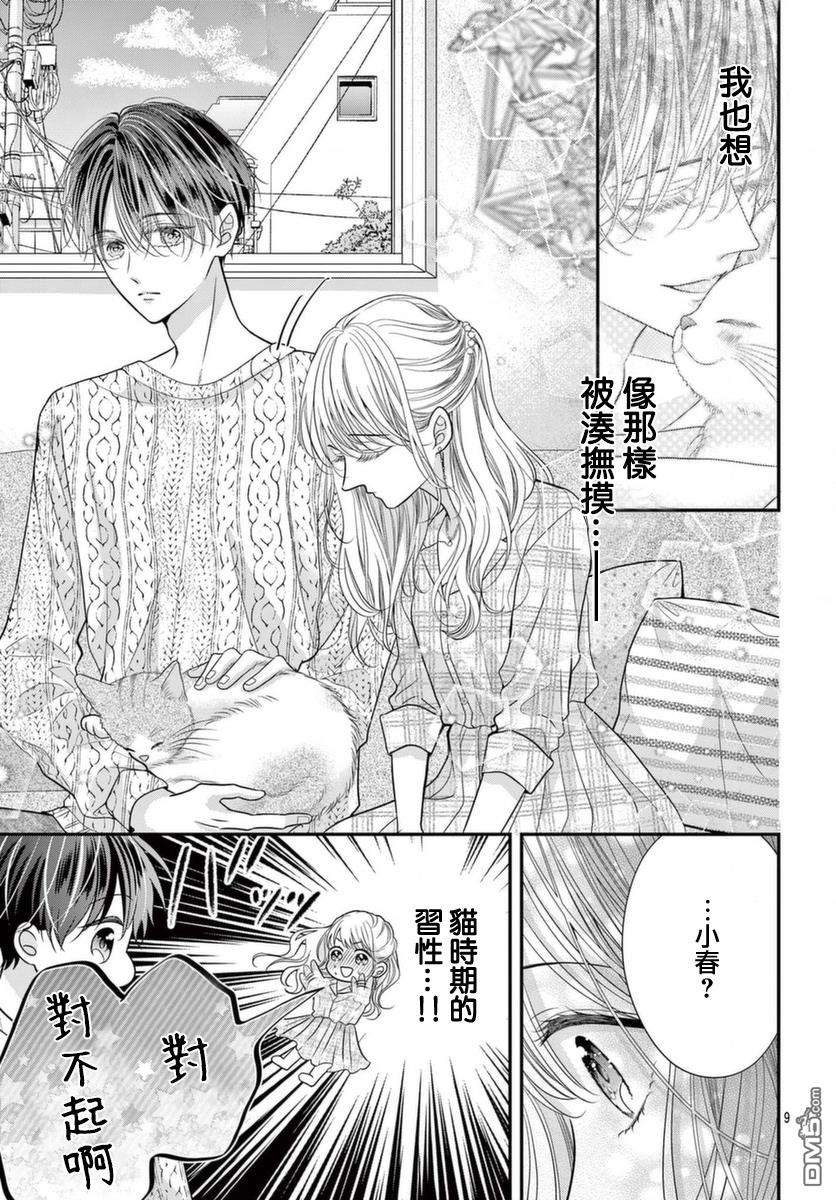 快来宠我嘛！我可是猫猫第6话