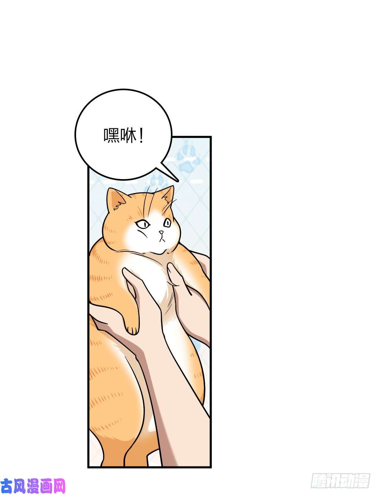 我家老婆来自一千年前12