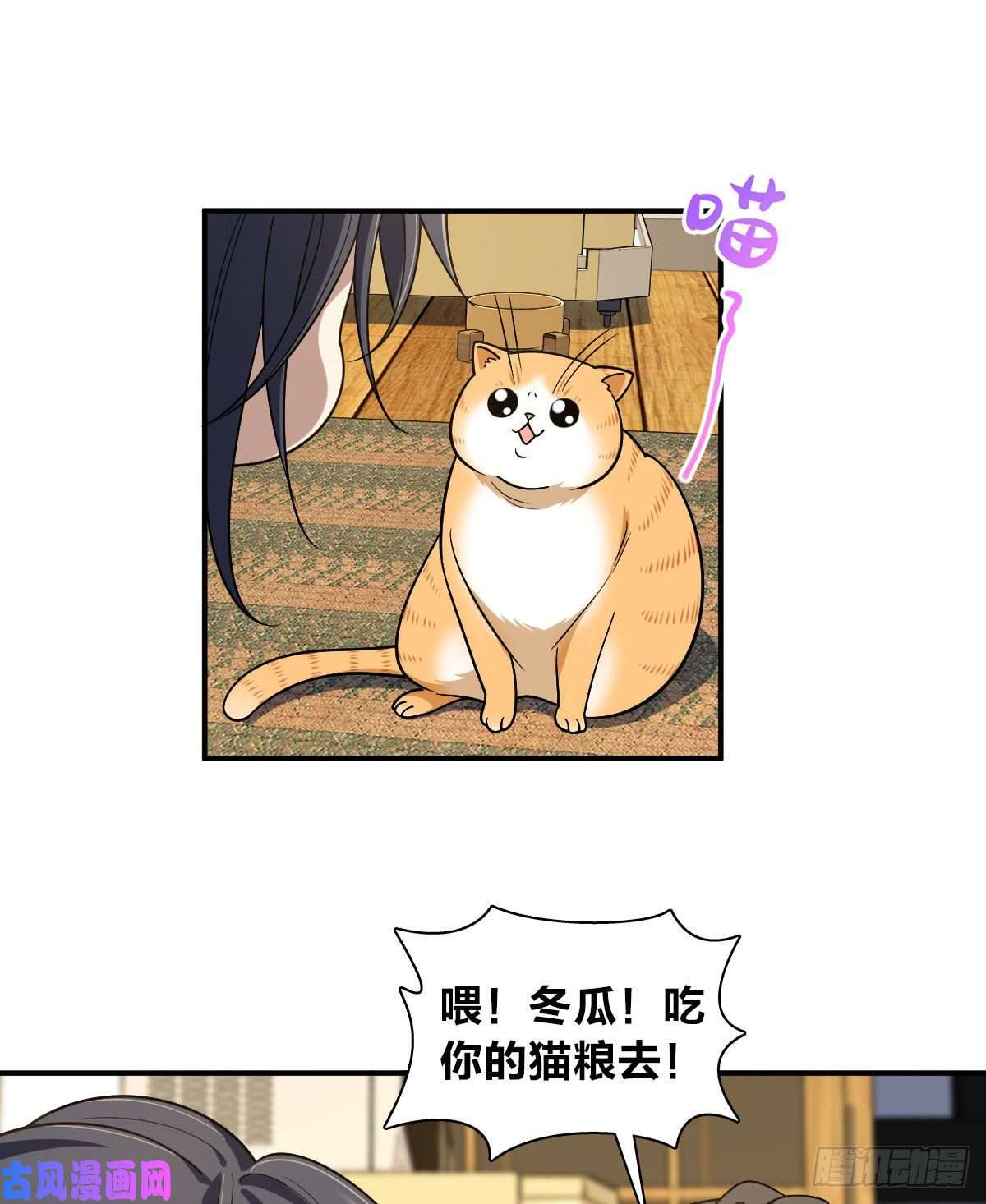 我家老婆来自一千年前12