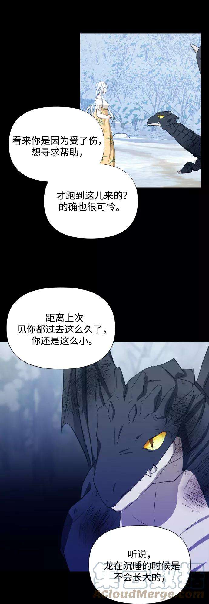 怪物公爵的女儿26话