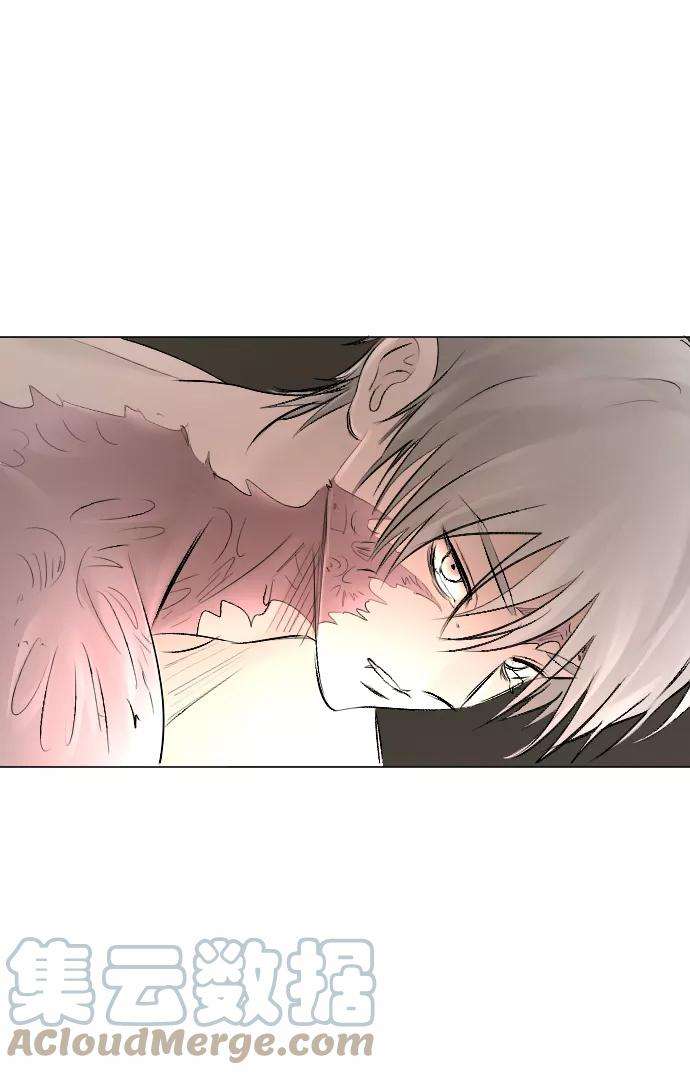 完结后捡了个男二54话