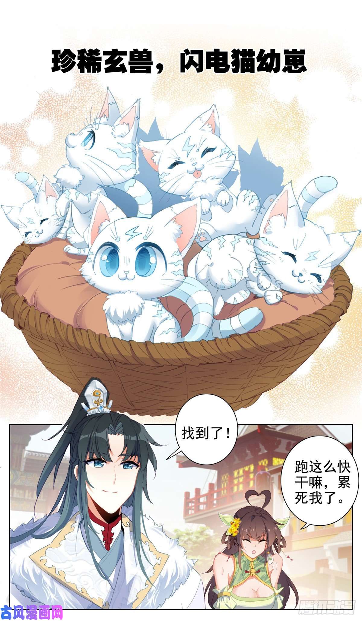 我是至尊18 这不是闪电猫