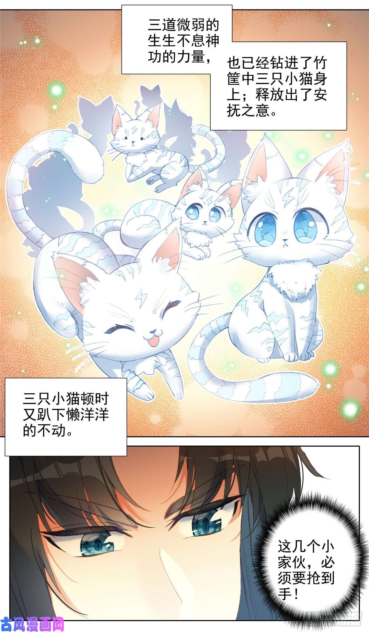 我是至尊18 这不是闪电猫