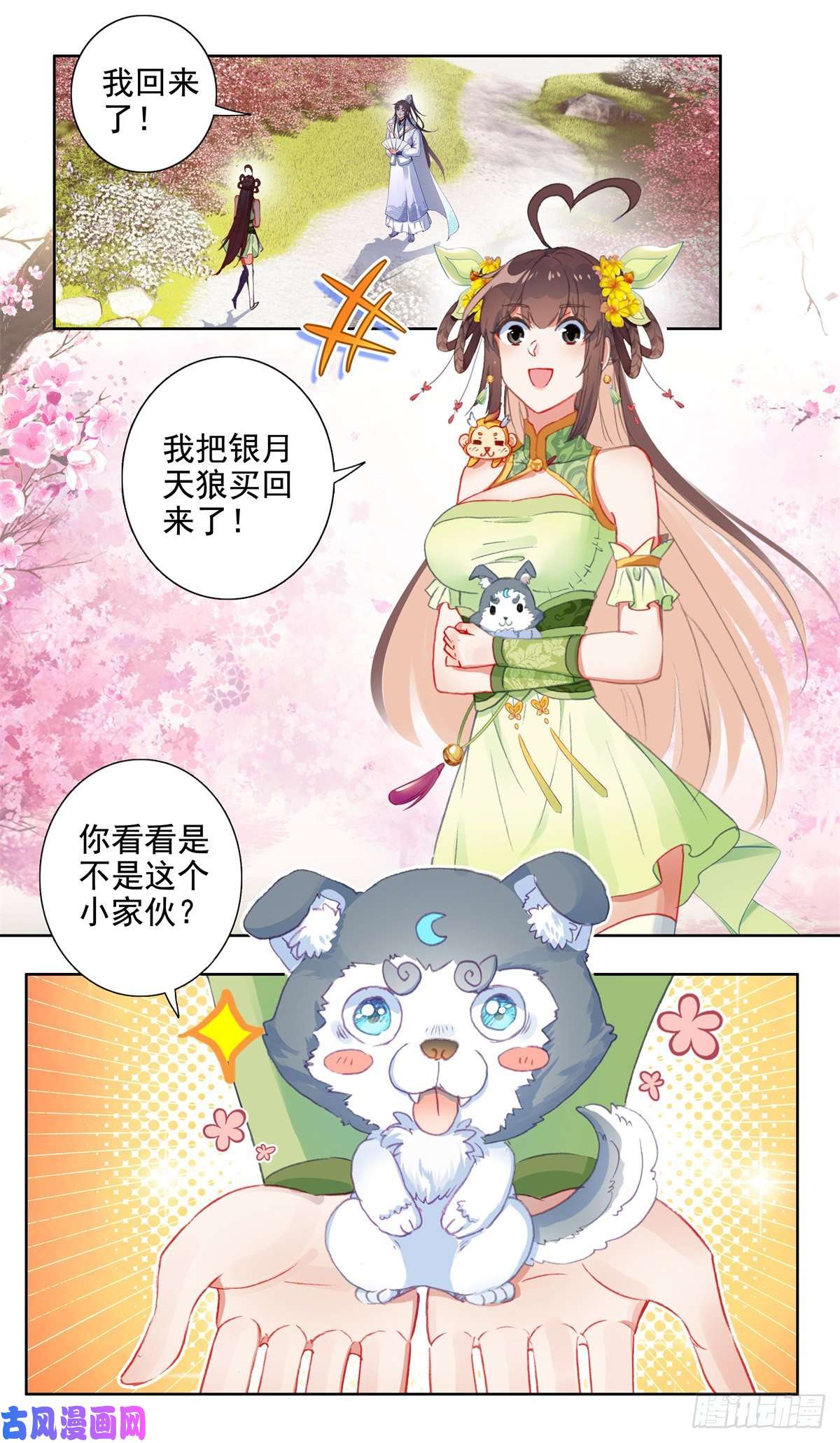 我是至尊22 家贼，小绿