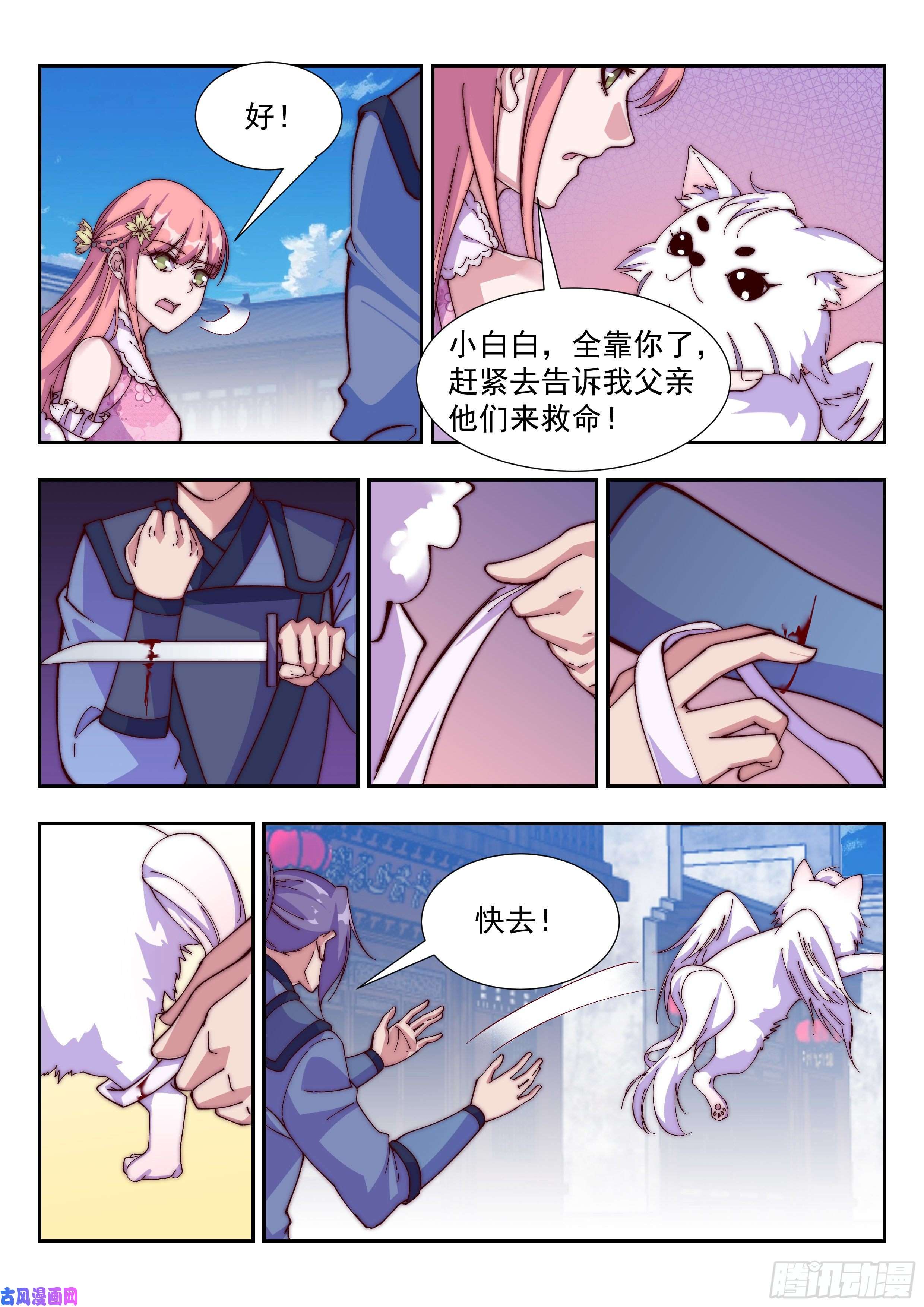 异世邪君小白白搬救兵