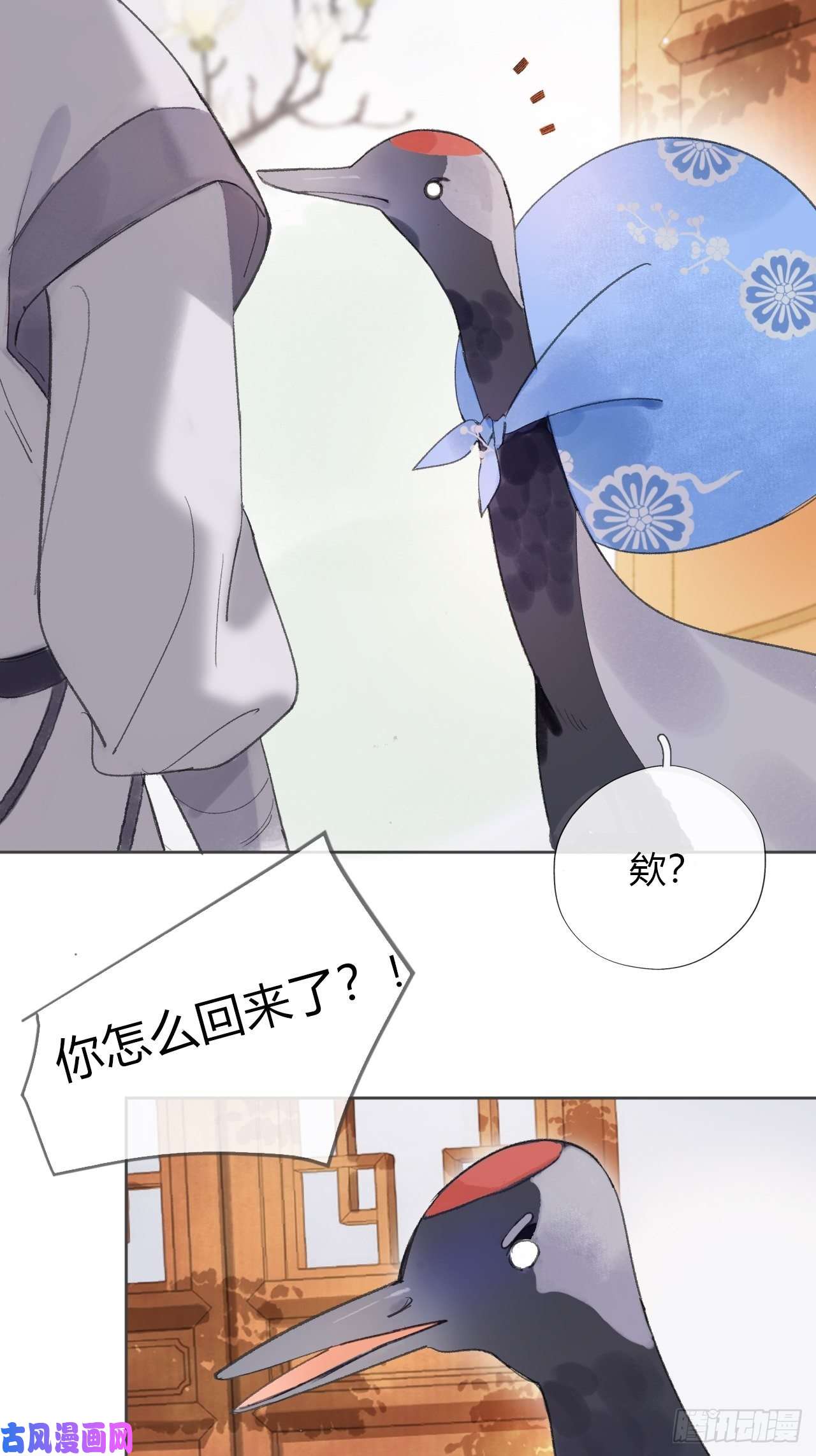一骗丹心第十一话-来历-