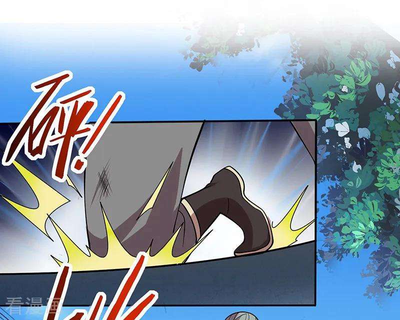 仙帝归来72话 医术超群