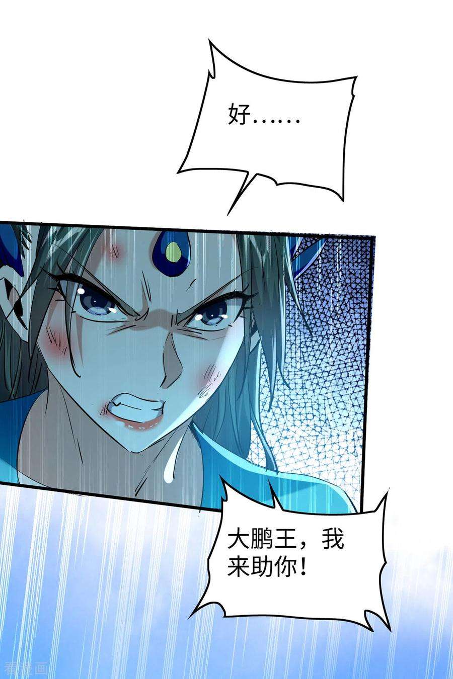 仙帝归来329话 鹏雀合击