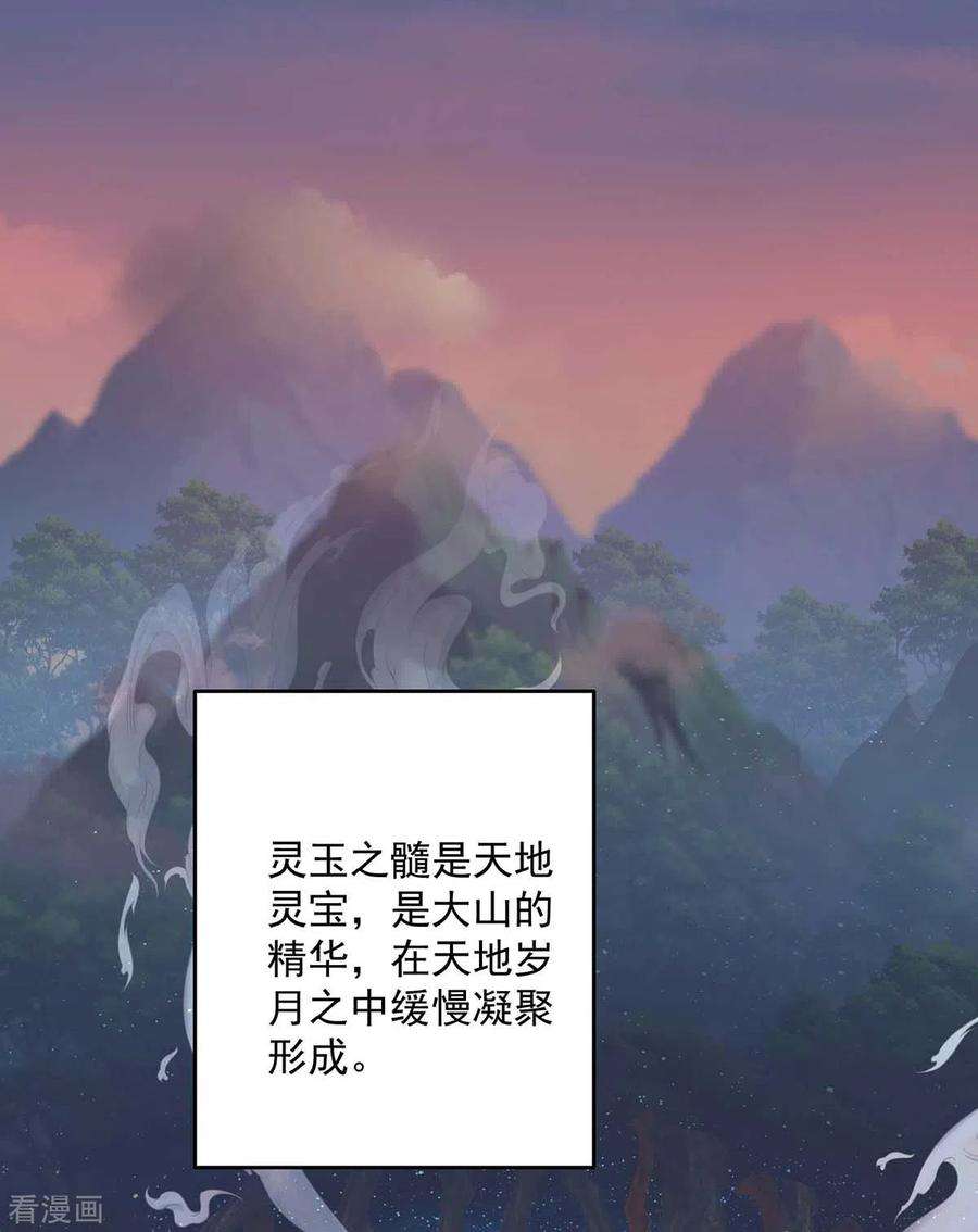 我在异界养男神：神医九小姐130话 灵玉之髓