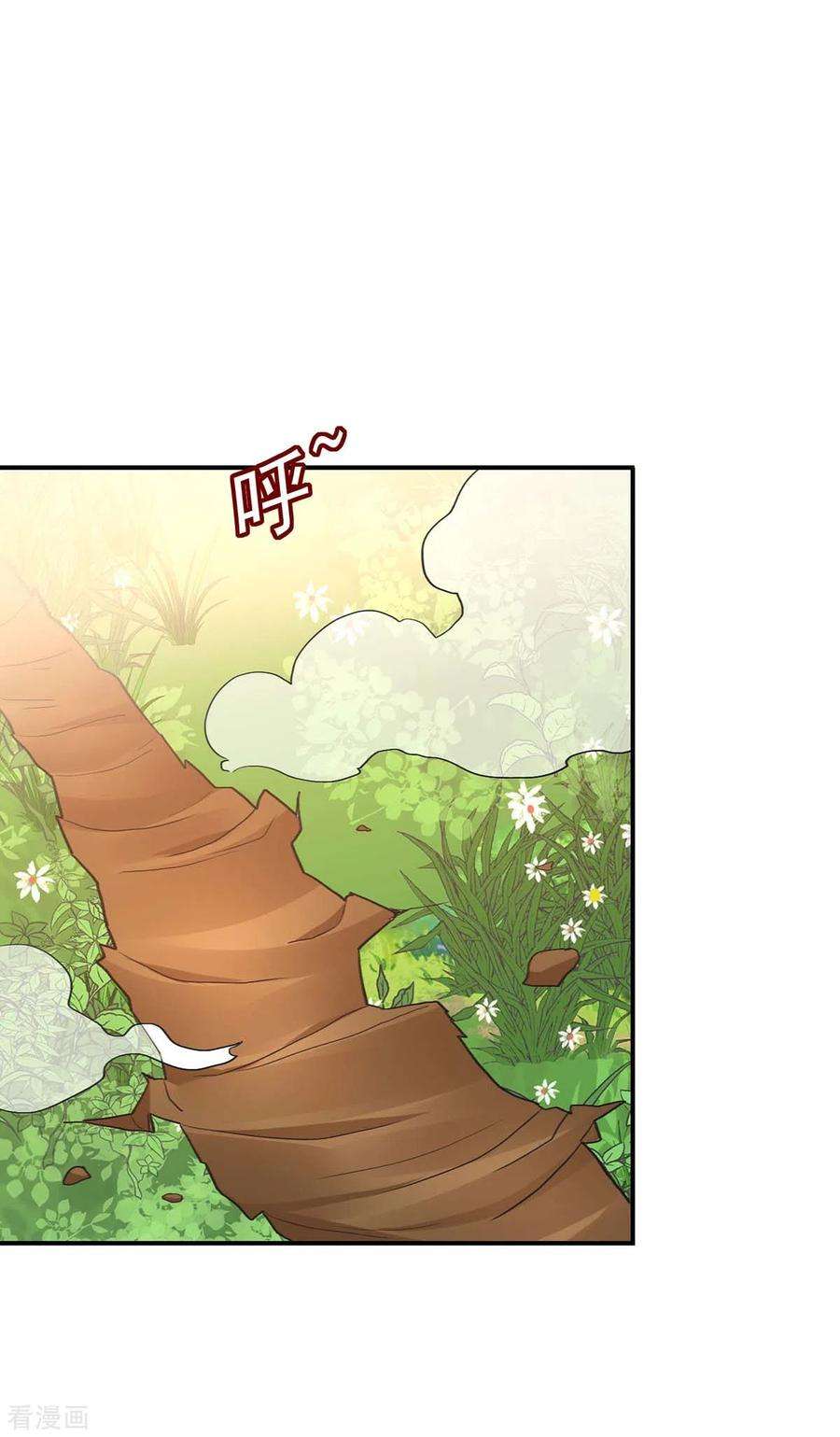 我在异界养男神：神医九小姐146话 心剑