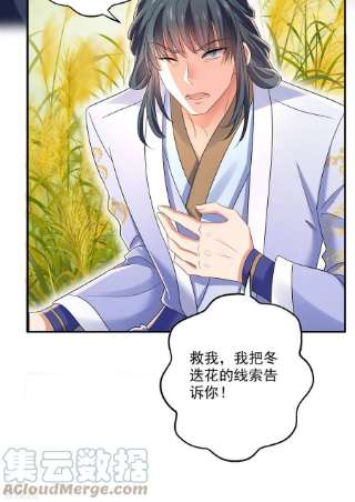 我在异界养男神：神医九小姐202话 又一条线索