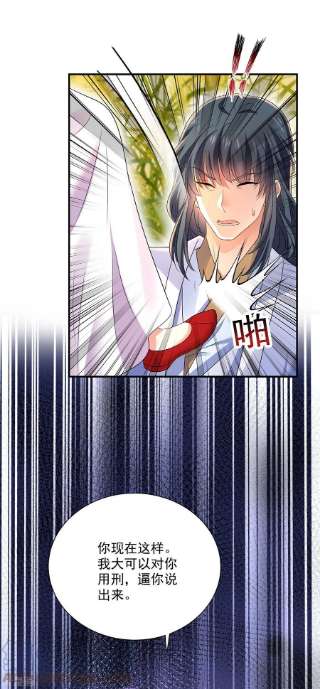 我在异界养男神：神医九小姐202话 又一条线索