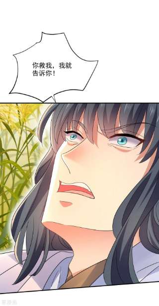 我在异界养男神：神医九小姐202话 又一条线索