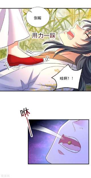 我在异界养男神：神医九小姐202话 又一条线索