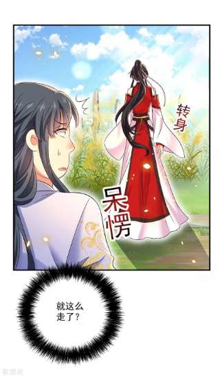 我在异界养男神：神医九小姐202话 又一条线索