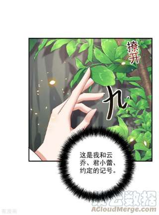 我在异界养男神：神医九小姐203话 冬迭花出现