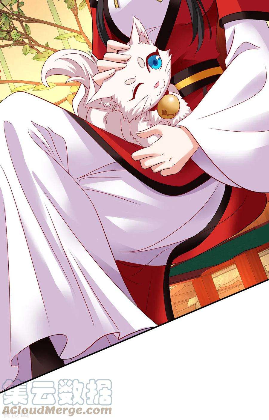 我在异界养男神：神医九小姐217话 我从不需要保护