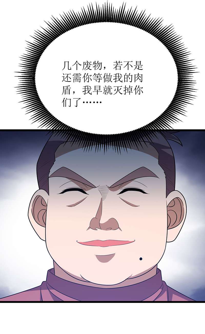主宰三界第256话 护法