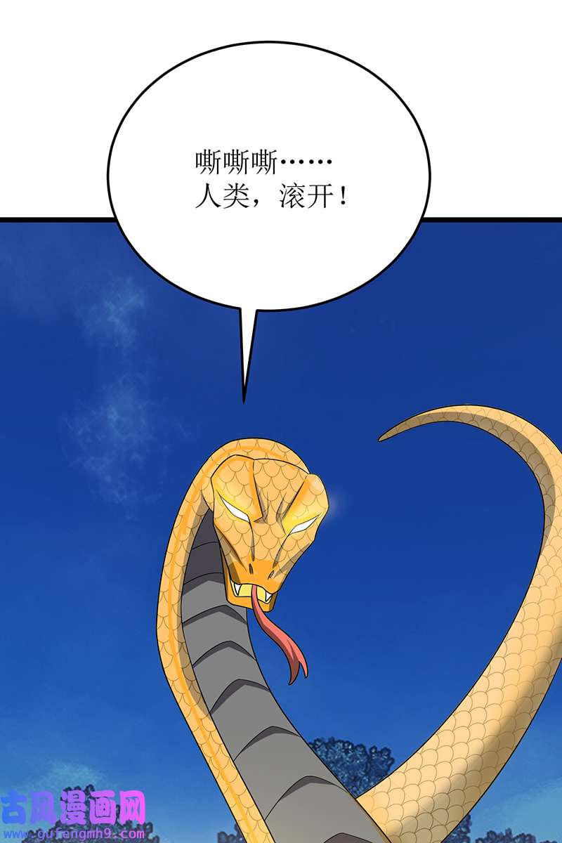 主宰三界第271话 开启卷宗