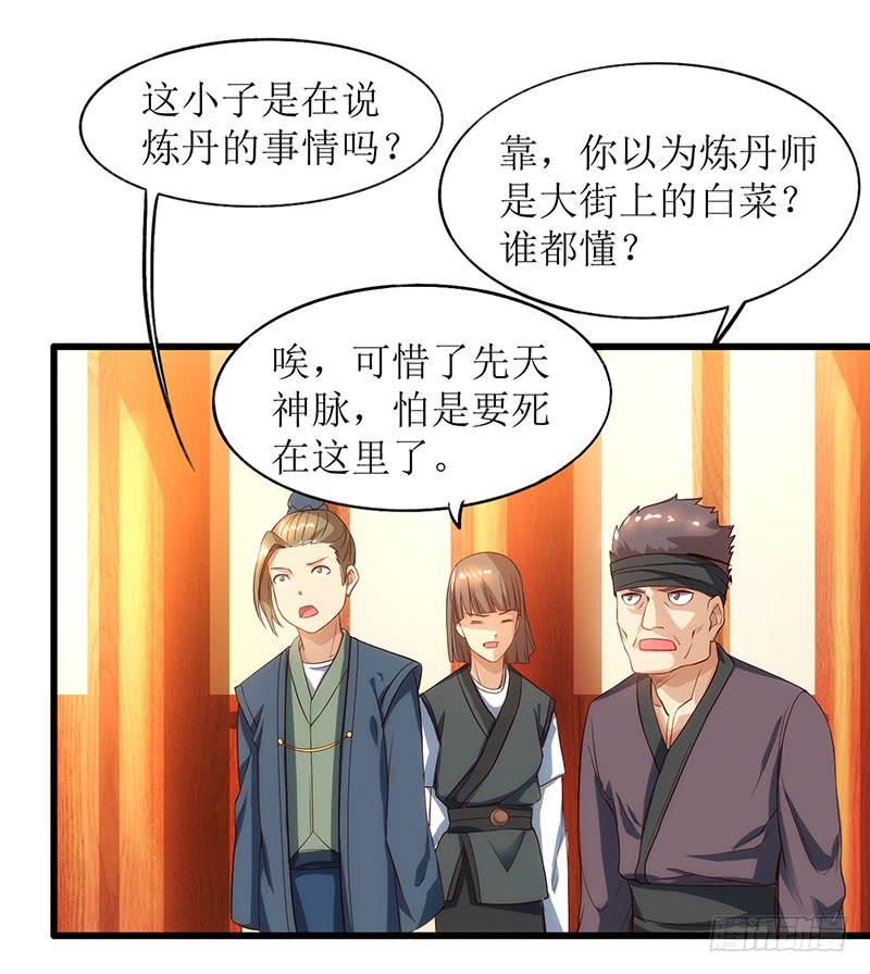 主宰三界21话 炼丹师