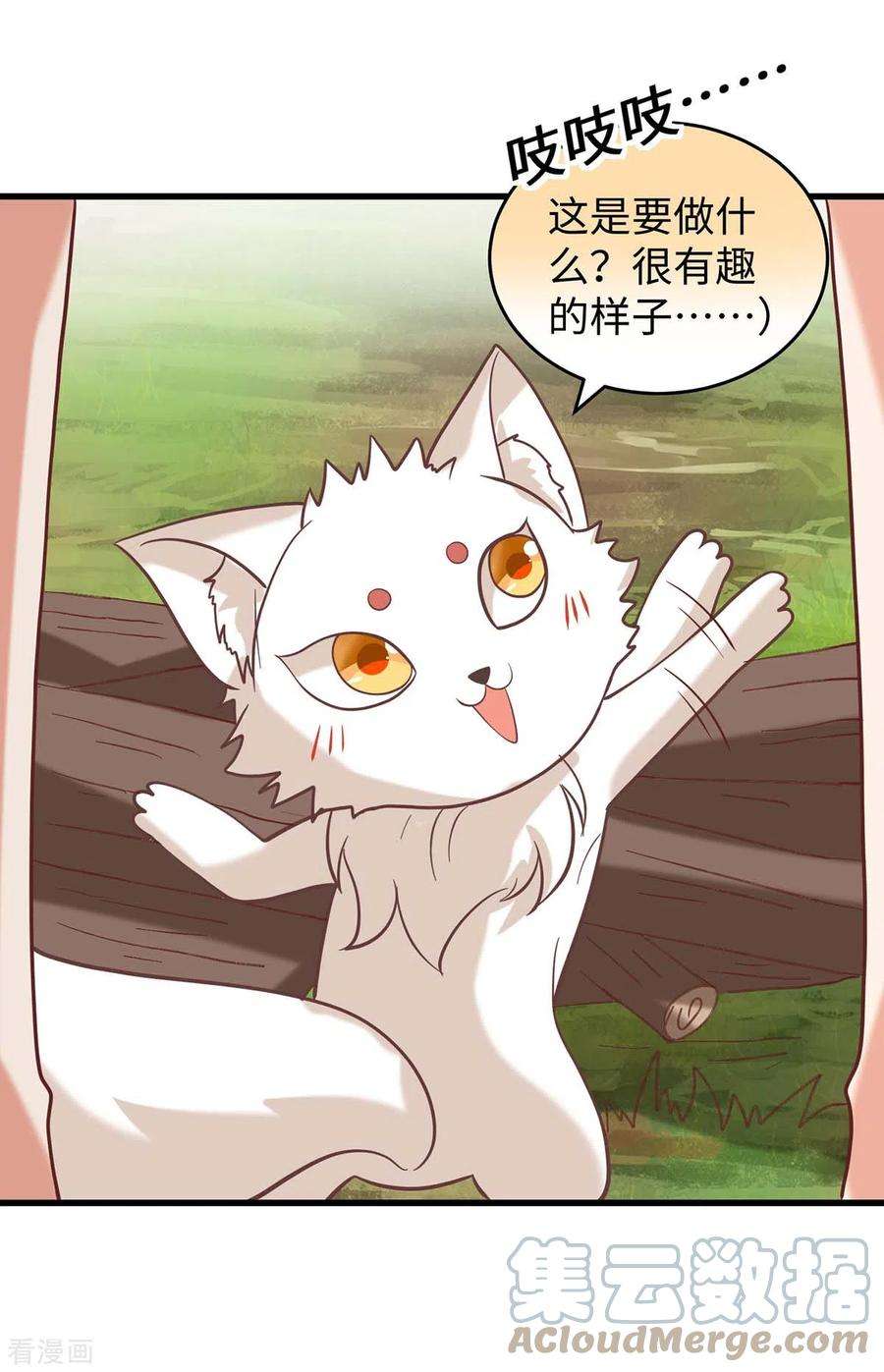 兽世狂妃：不当异界女海王71话 小雨不见了