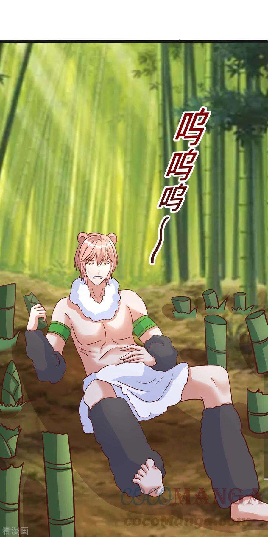 兽世狂妃：不当异界女海王80话 熊猫族