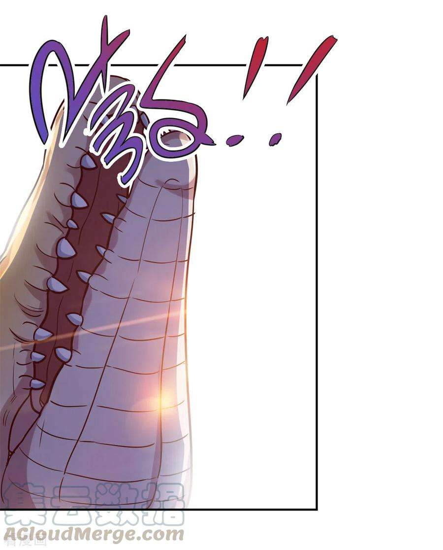 重生地球仙尊51话 出手