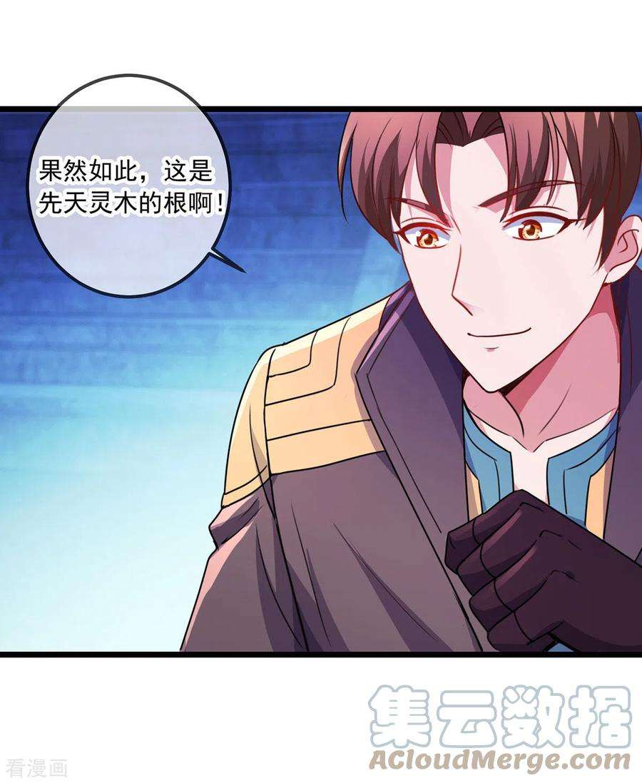 重生地球仙尊94话 机遇