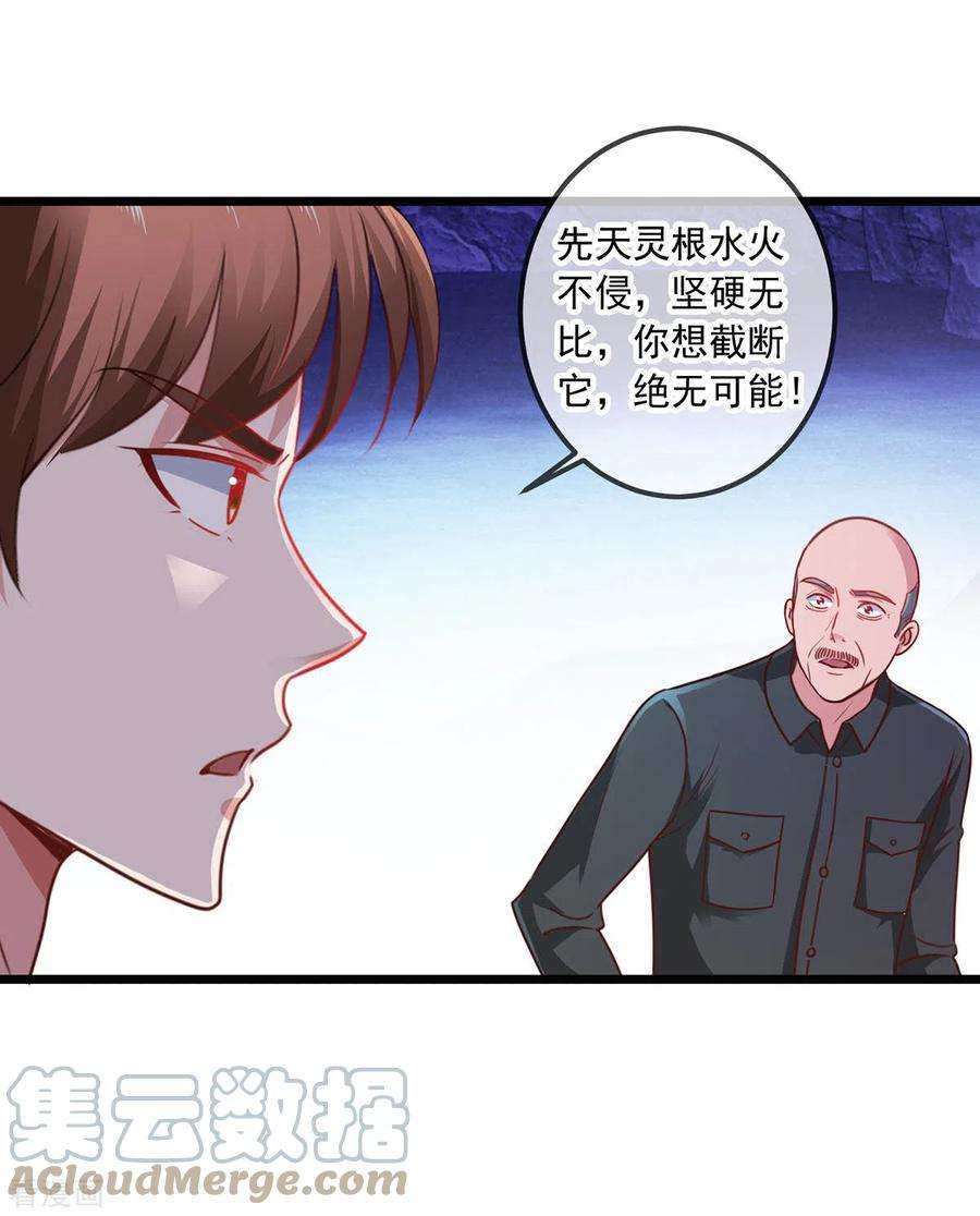 重生地球仙尊94话 机遇