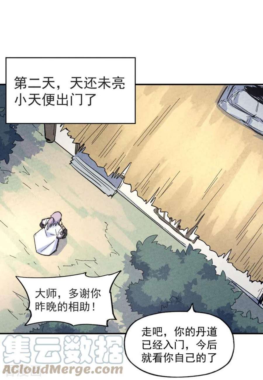 史上最强男主角123话 木头结丹
