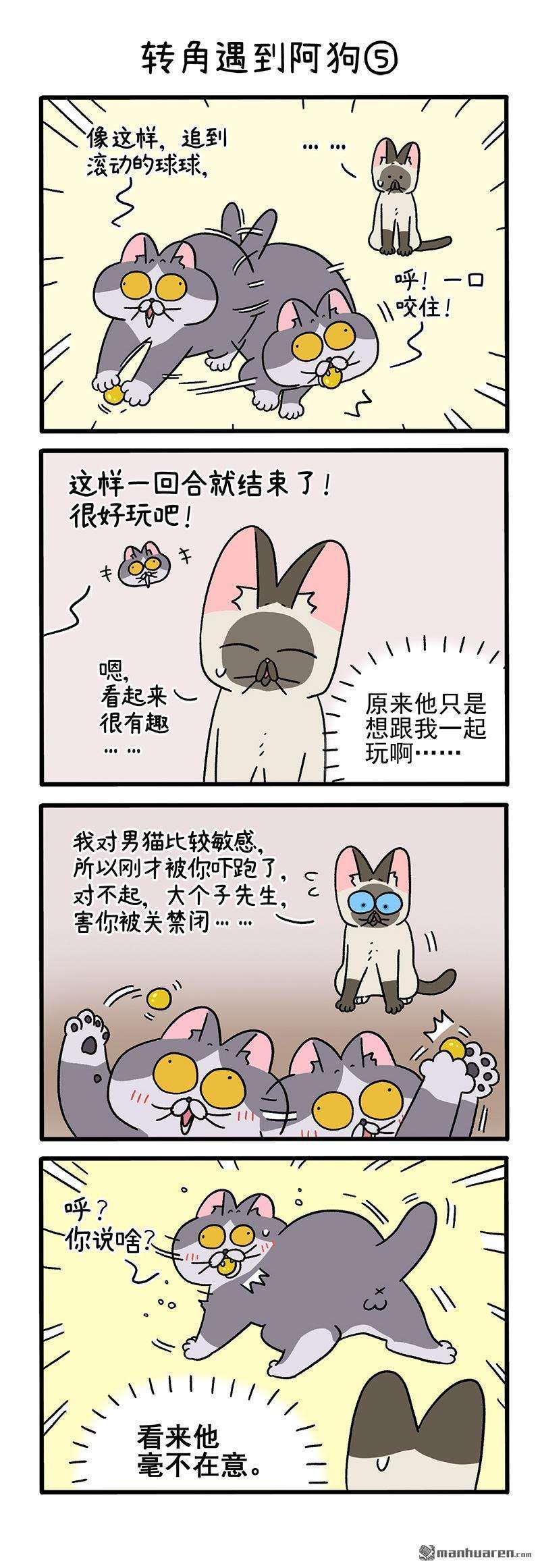 阿满和麦茶第71话 转角遇到阿狗（下）