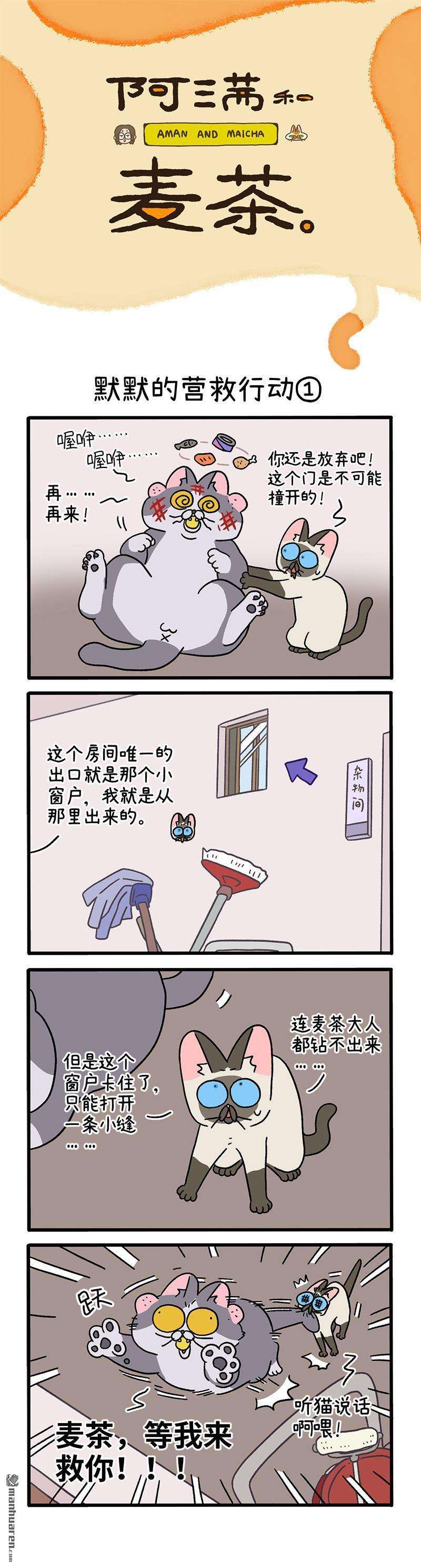 阿满和麦茶第72话 默默的营救行动（上）