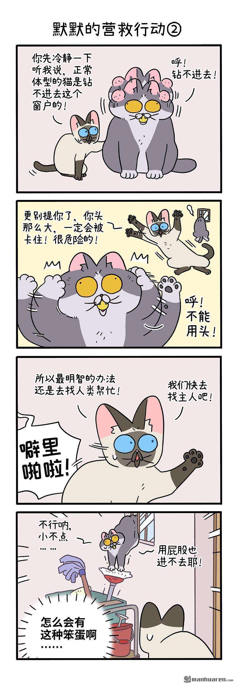 阿满和麦茶第72话 默默的营救行动（上）