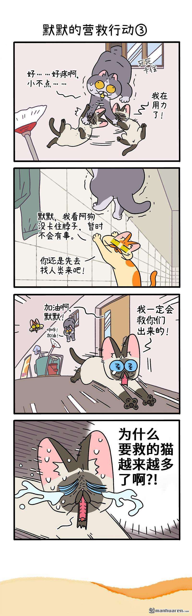 阿满和麦茶第72话 默默的营救行动（上）